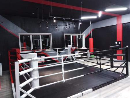 Ринг в силовой раме 5х5 м, боевая зона 4х4 м